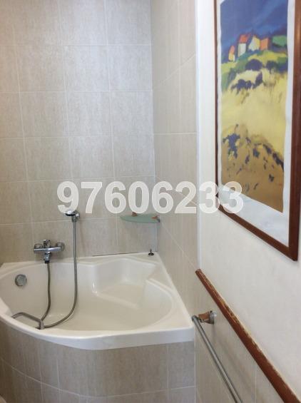 Balestier Point (D12), Apartment #165067752